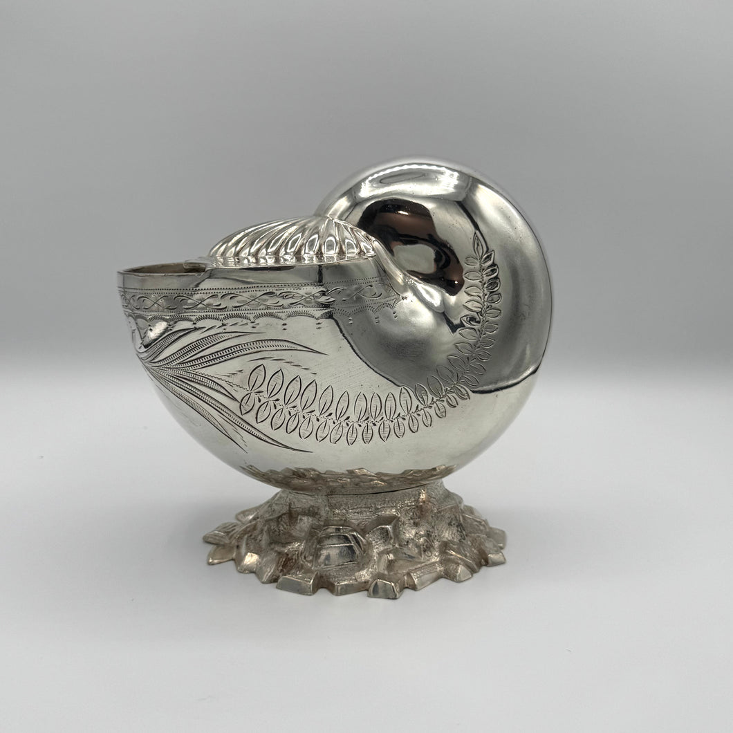 Nautilus Shell Spoon Warmer by Walker & Hall of Sheffield