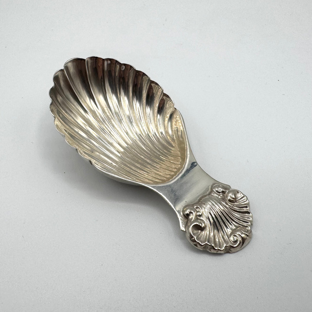 Shell Pattern Silver Caddy Spoon by Albert Edward Jones - Birmingham 1969