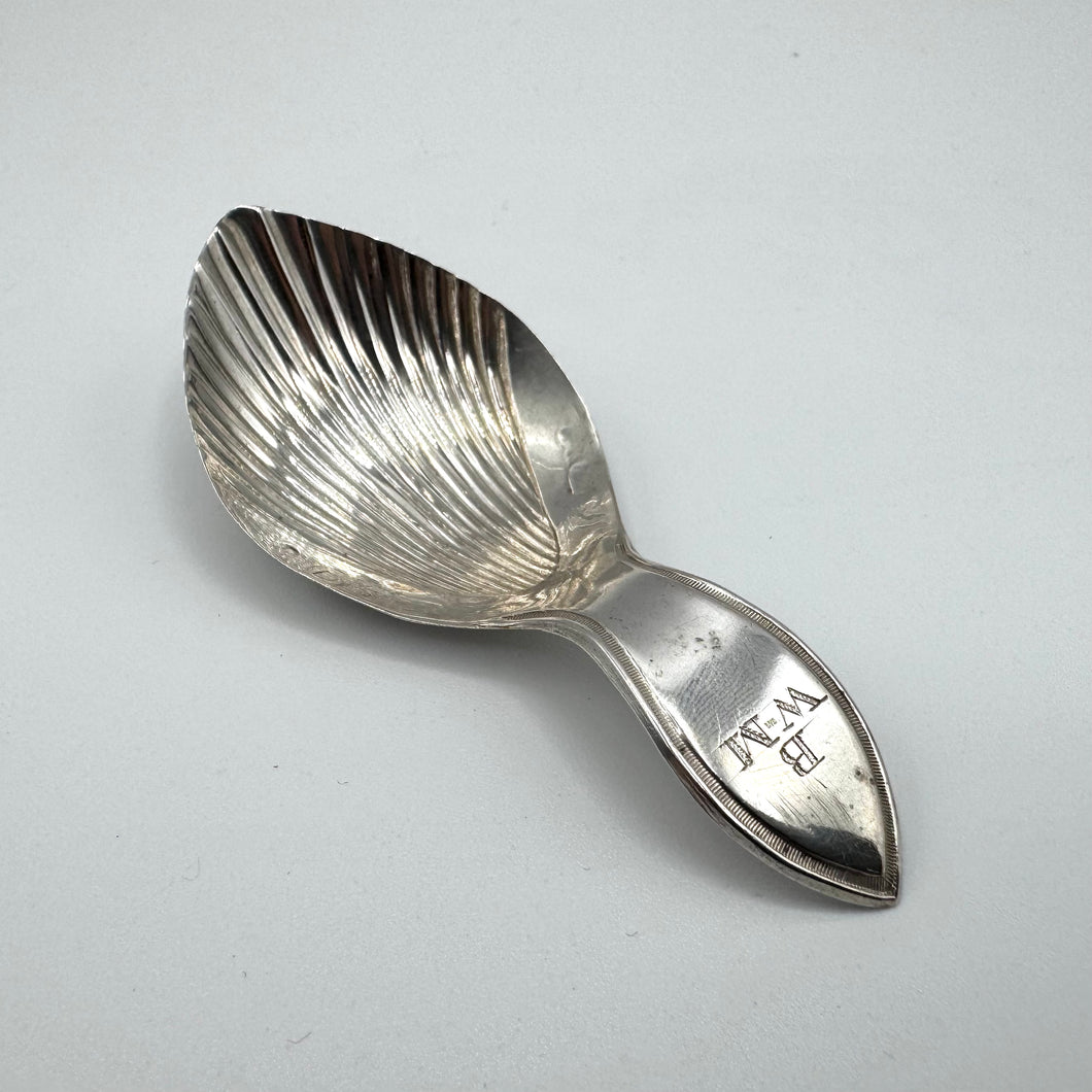 George III Siver Shell Caddy Spoon by Nathaniel Smith & Co - Sheffield 1794