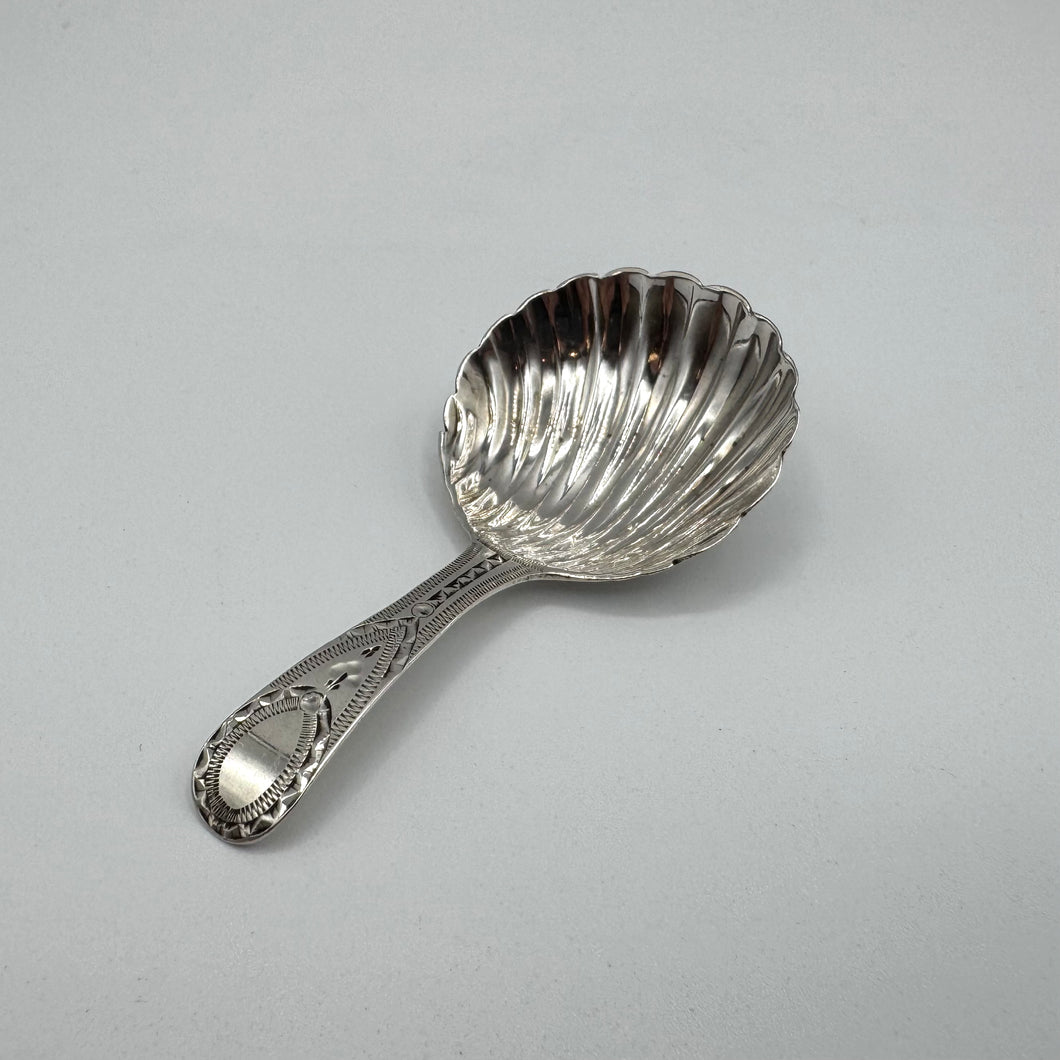 George III Shell and Bright Cut Caddy Spoon by John Lambe 1788